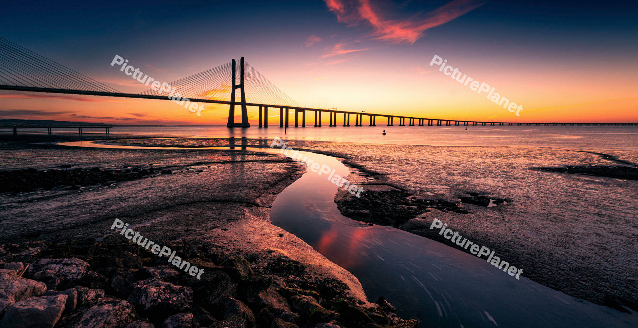 Vasco da Gama Bridge